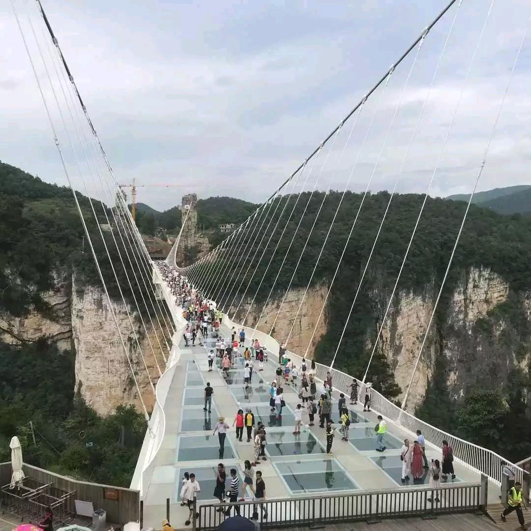陈哥