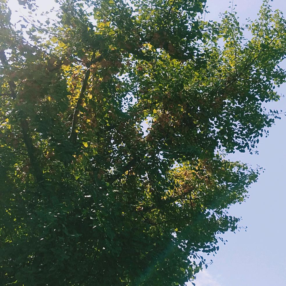 @春暖花开~
