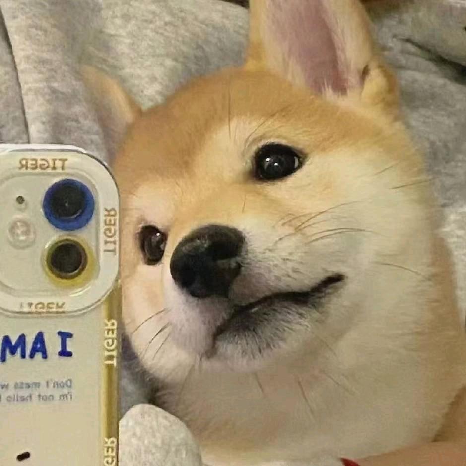 Ti.mi