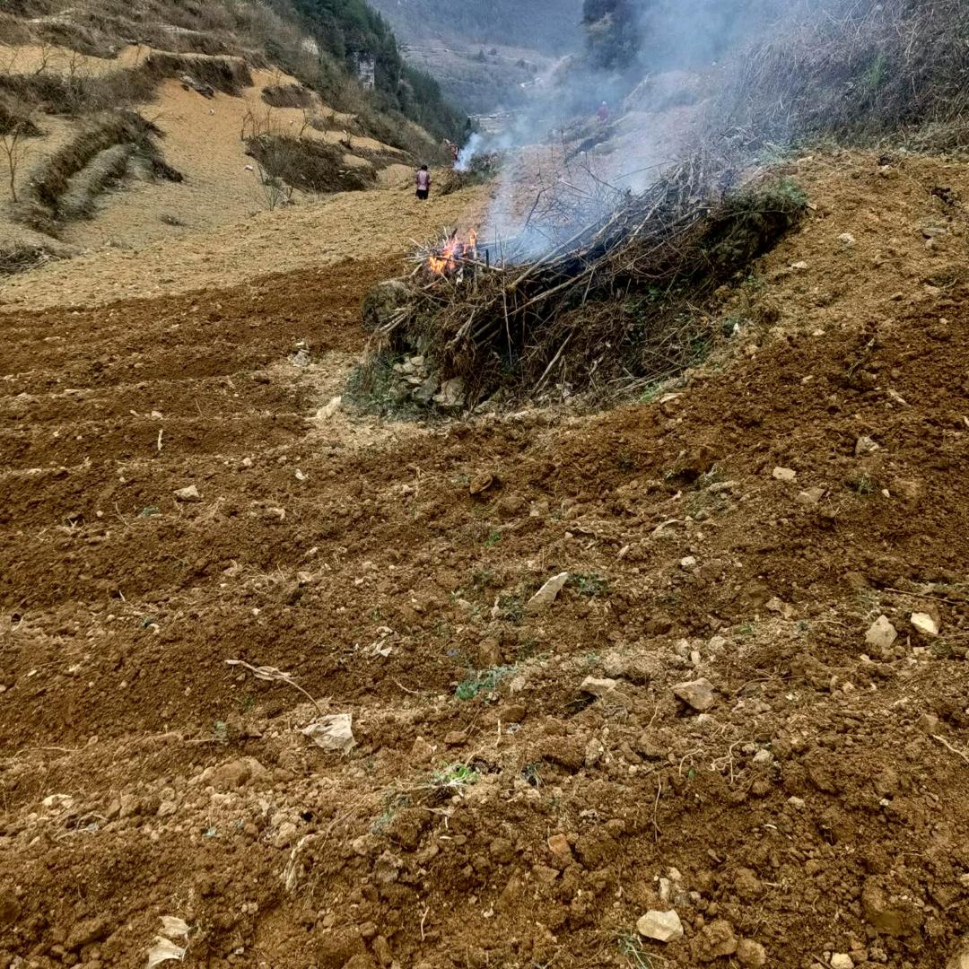 奋斗是目标