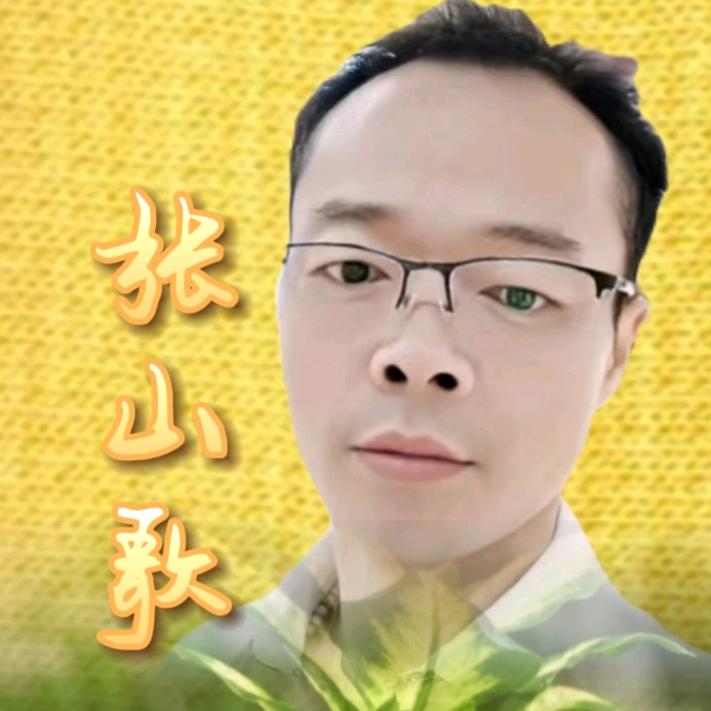 张山歌