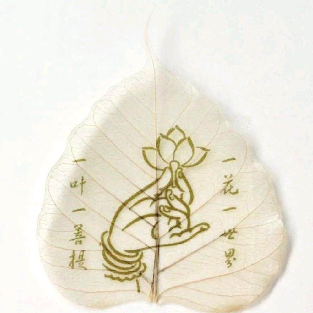 心静止水