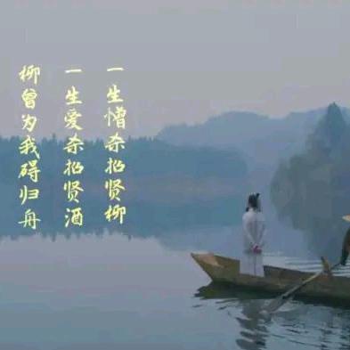 老杨