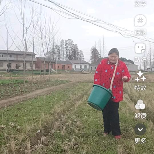 夏云翠早9点20礼拜天休息