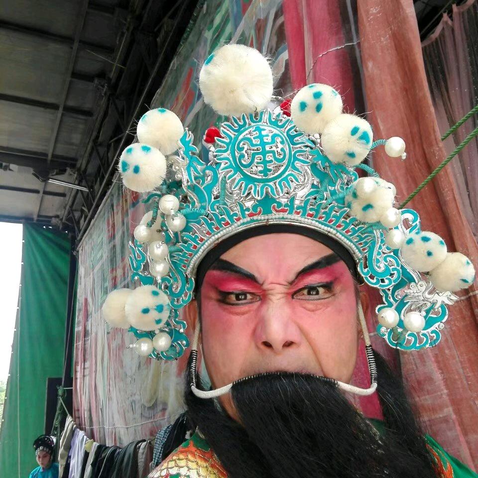 大个花脸猫