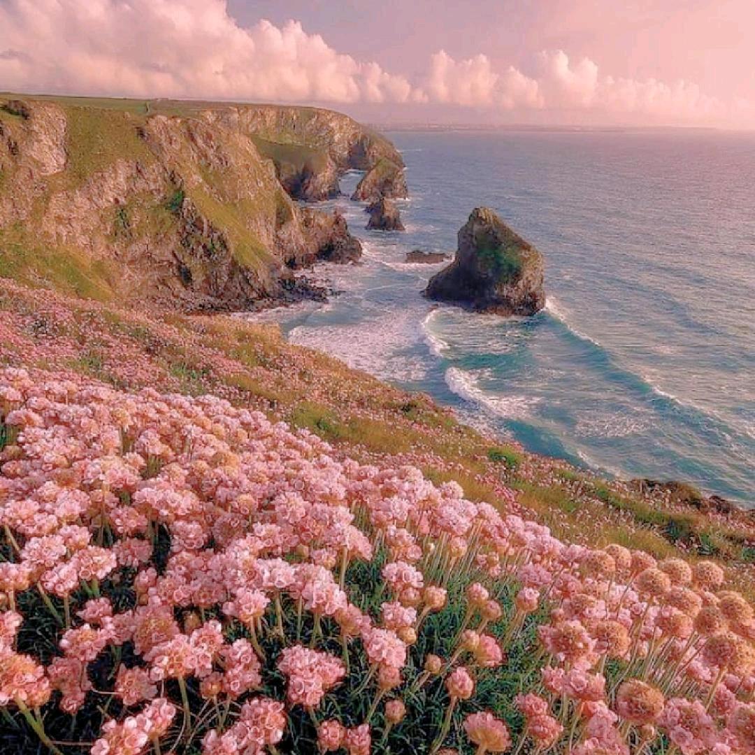 三横一竖我姓王