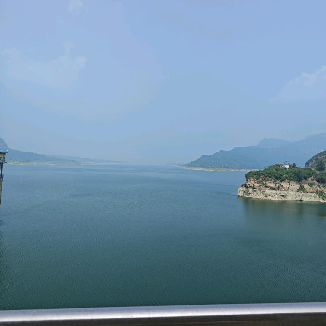 忘忧草