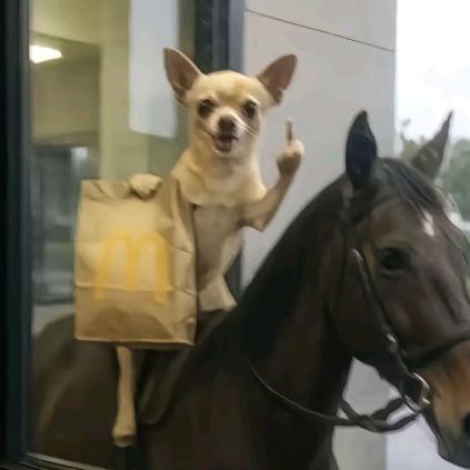 玉獒春