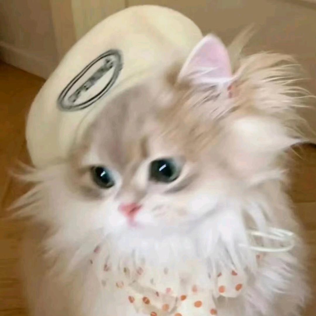 你有事吗