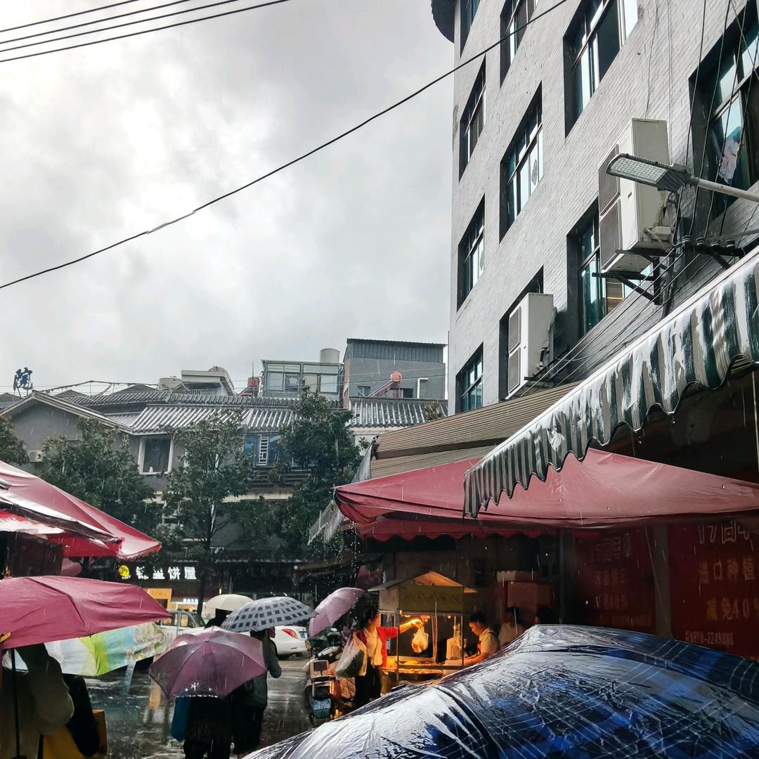 闸闪