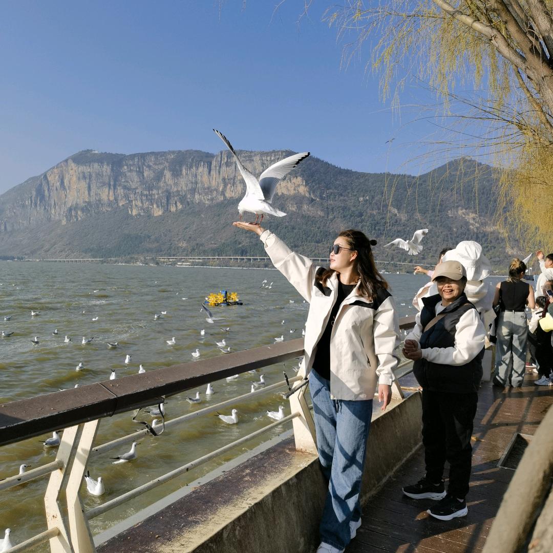 💞ℳღ᭄李菇凉ꦿ꯭꧔💞