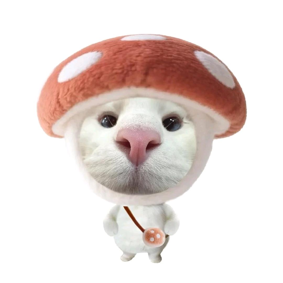 依久久