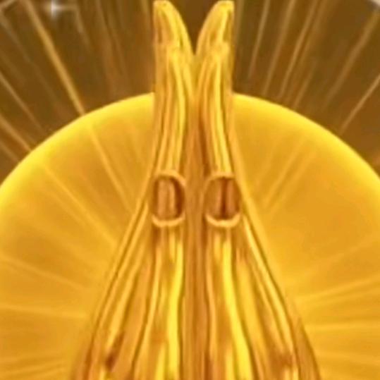佳佳优享