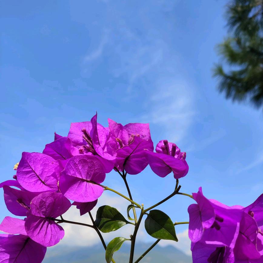 阳光