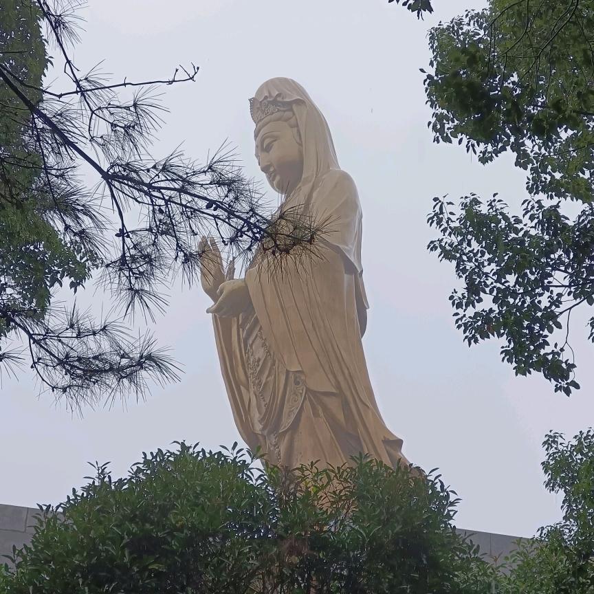 一叶一花一菩提