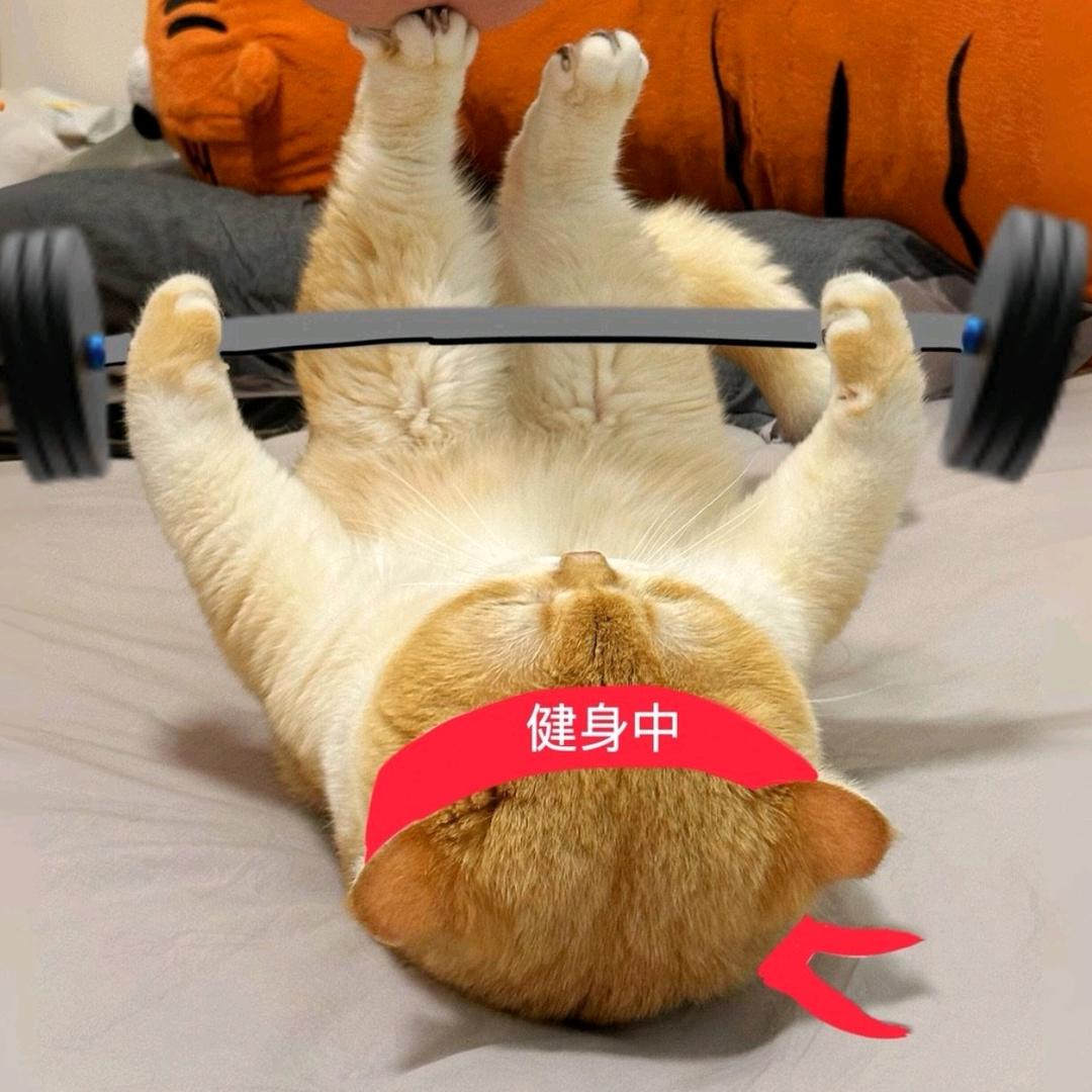 格格吖(首播20.40)