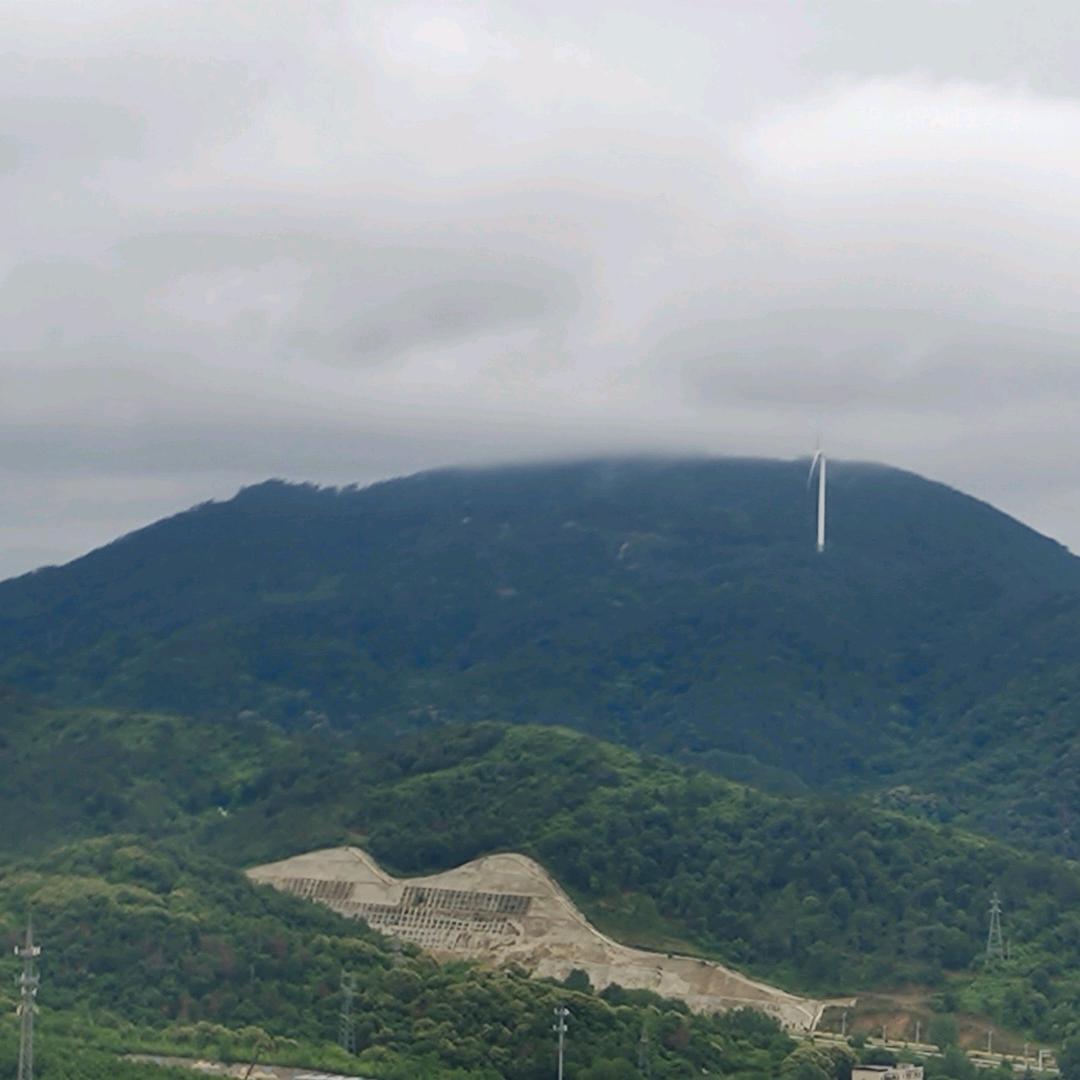 @胡哥