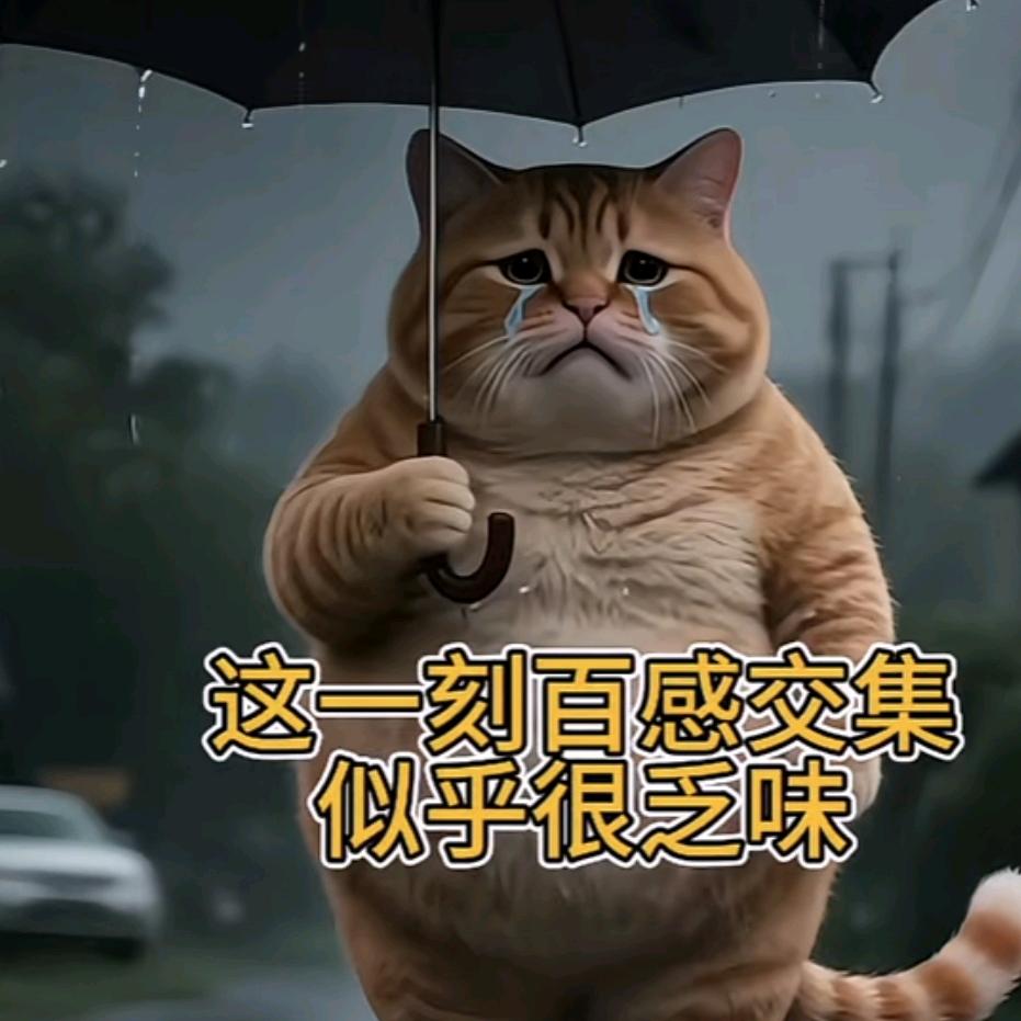 如果什么都变了，那我谢谢你陪我的这些天…