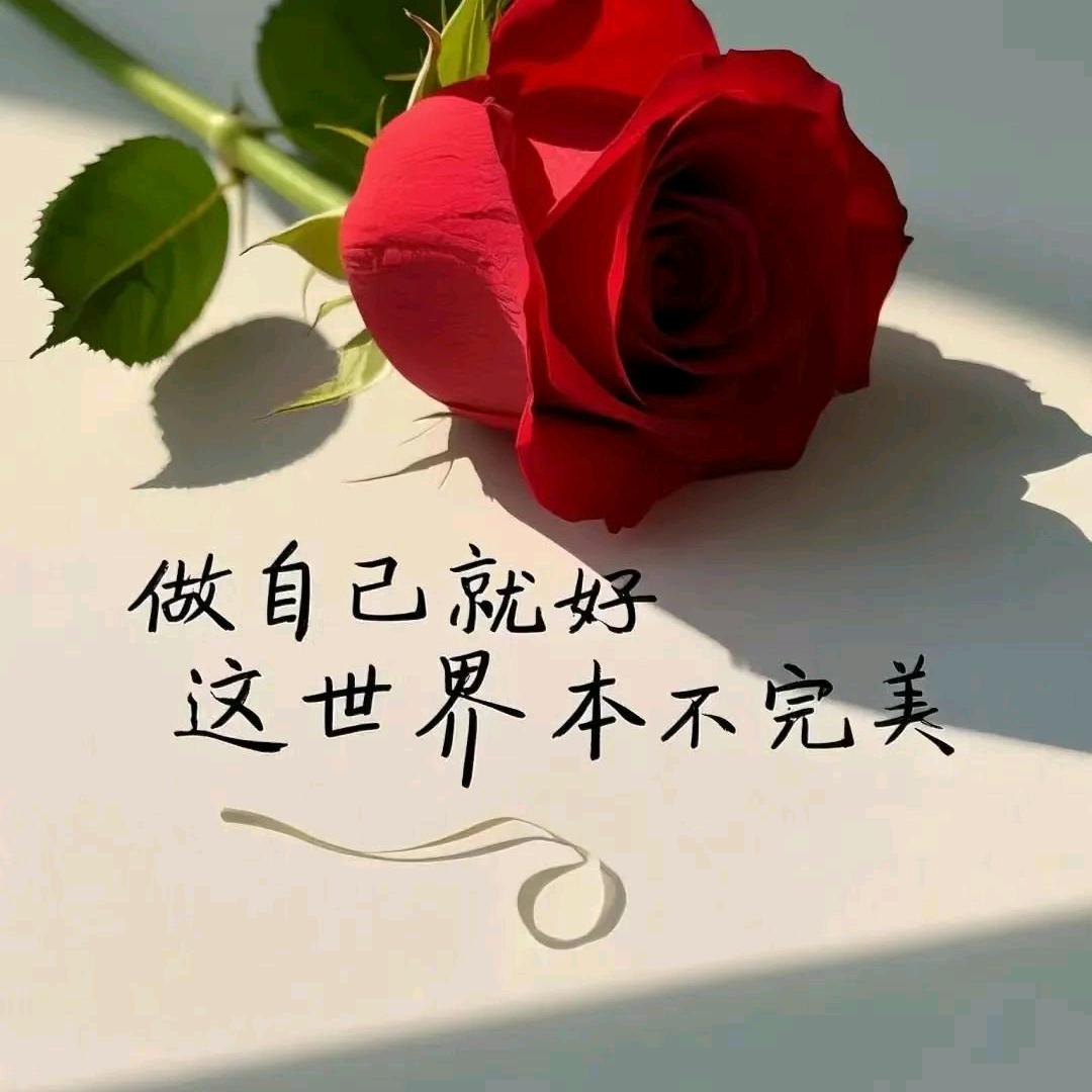 红玫瑰