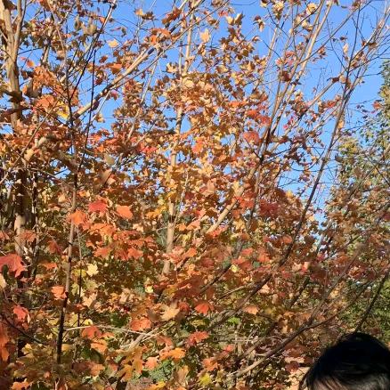 希望你真的很快乐