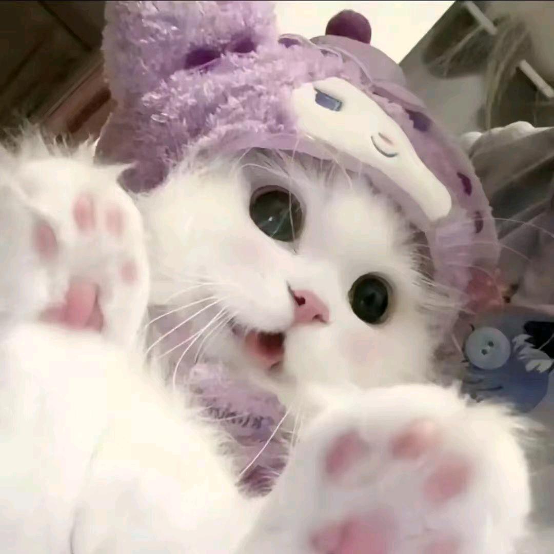 小陈橱窗多多关照୧⍤⃝🍓୧⍤⃝🌸