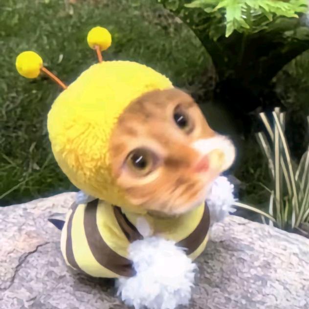 小嘢（和平pc）