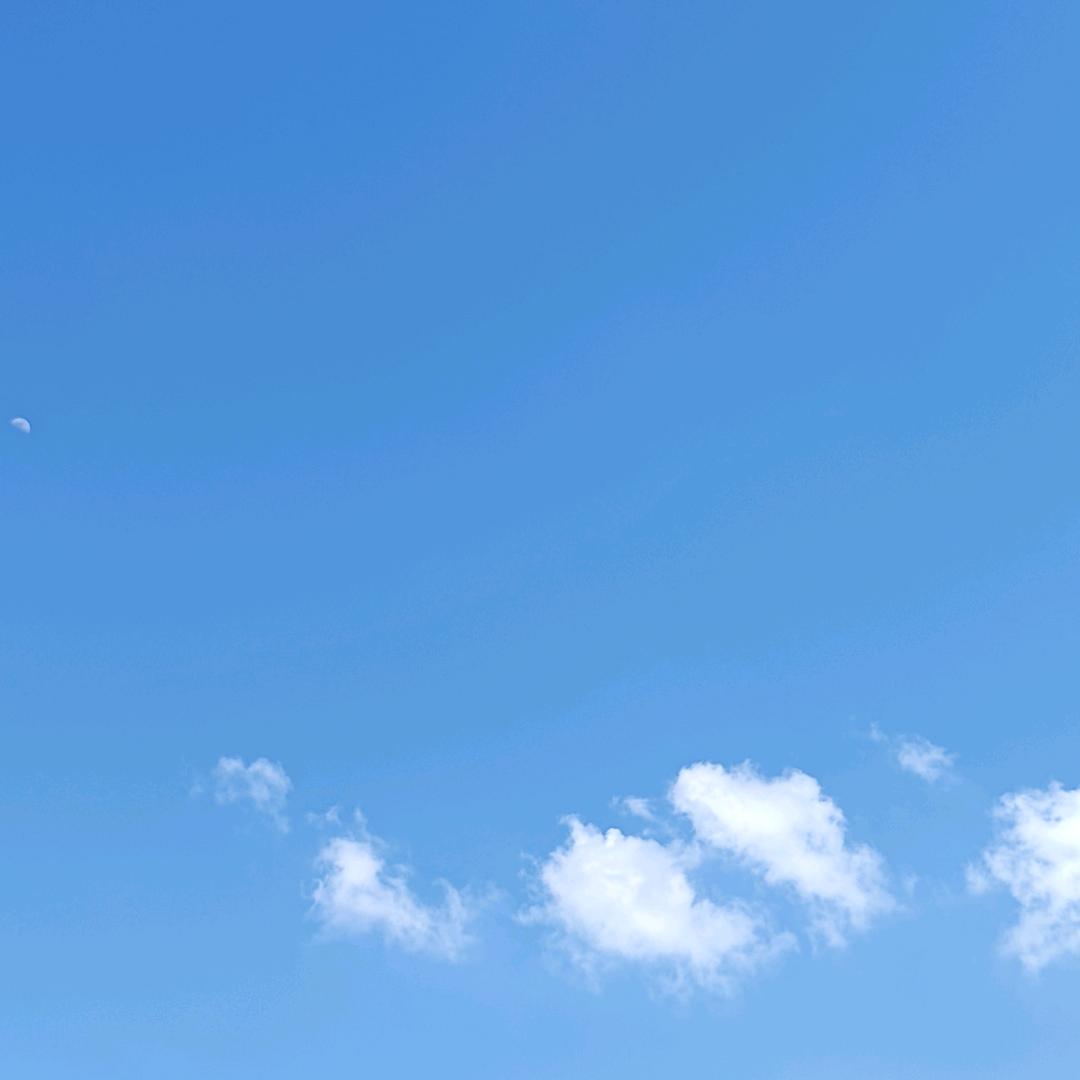 只想睡觉