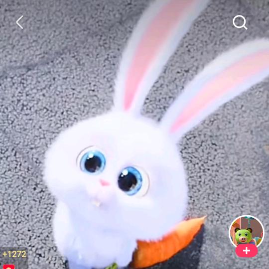 小可爱❤️