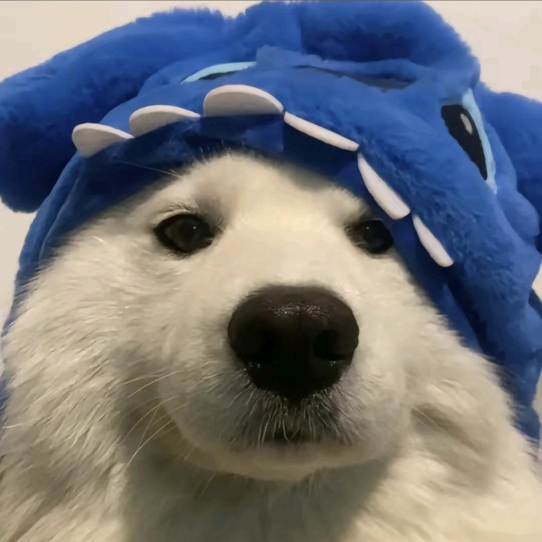M.y