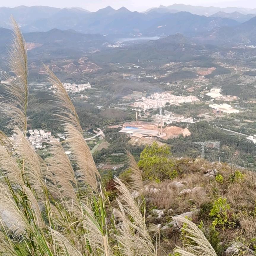 哈哈麻麻