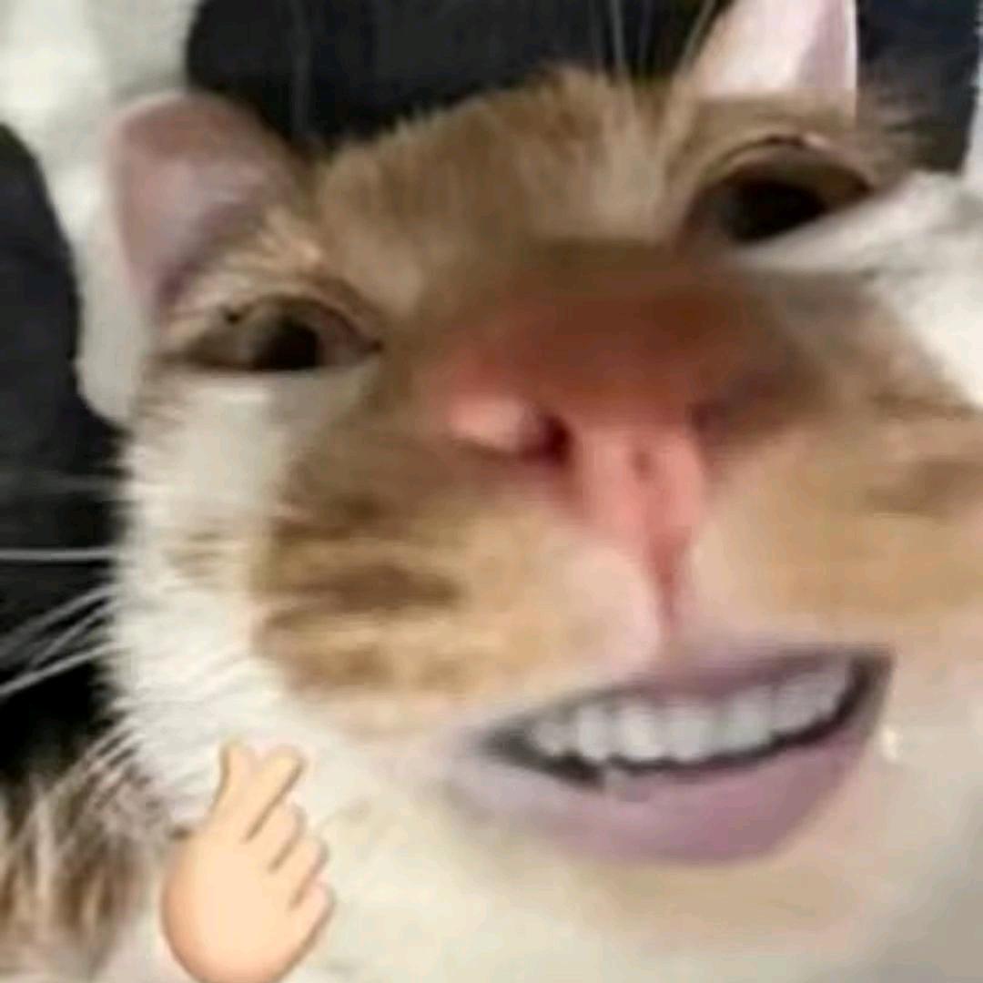 九