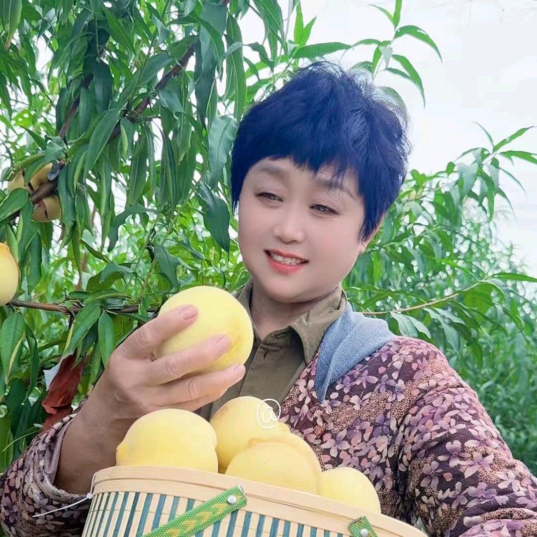 刘苏梅