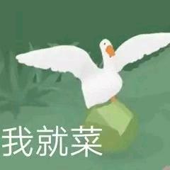 鱼鹅不足
