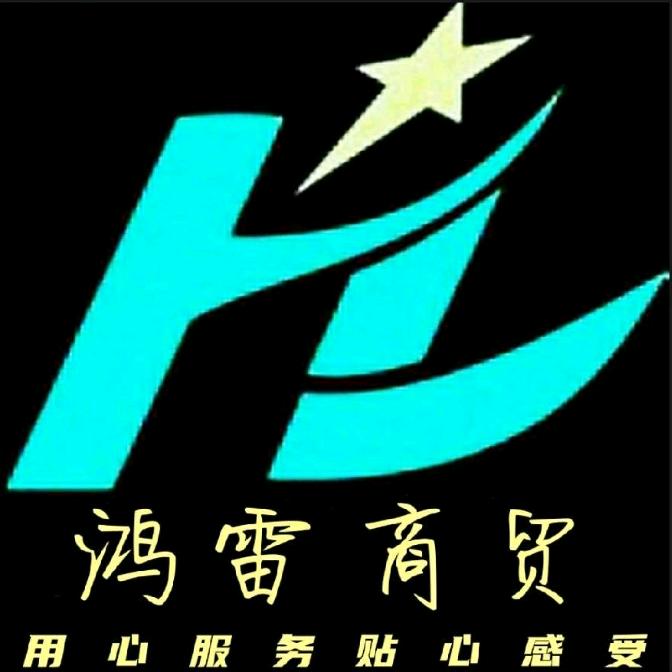 鸿雷、AI未来之路