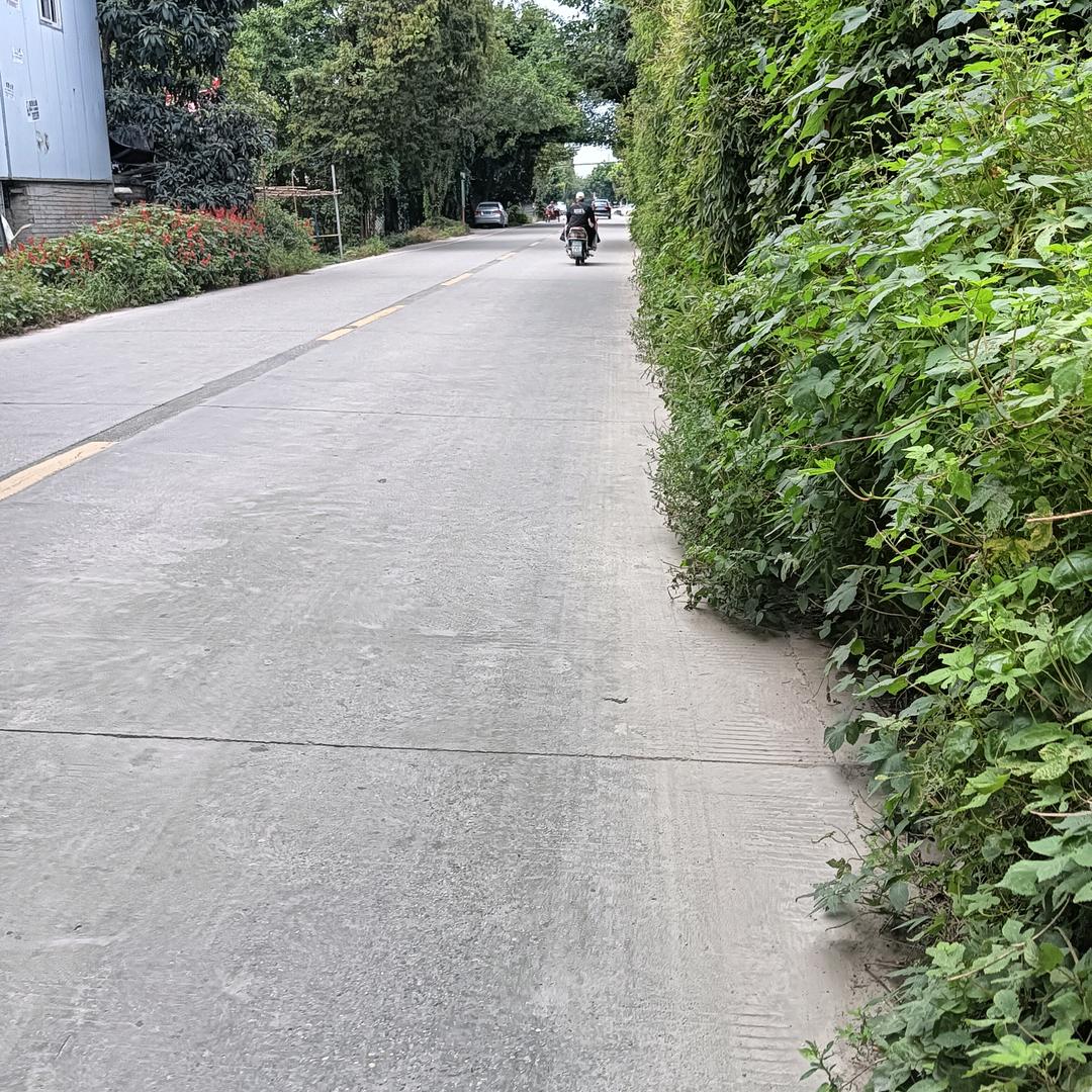 封心锁爰