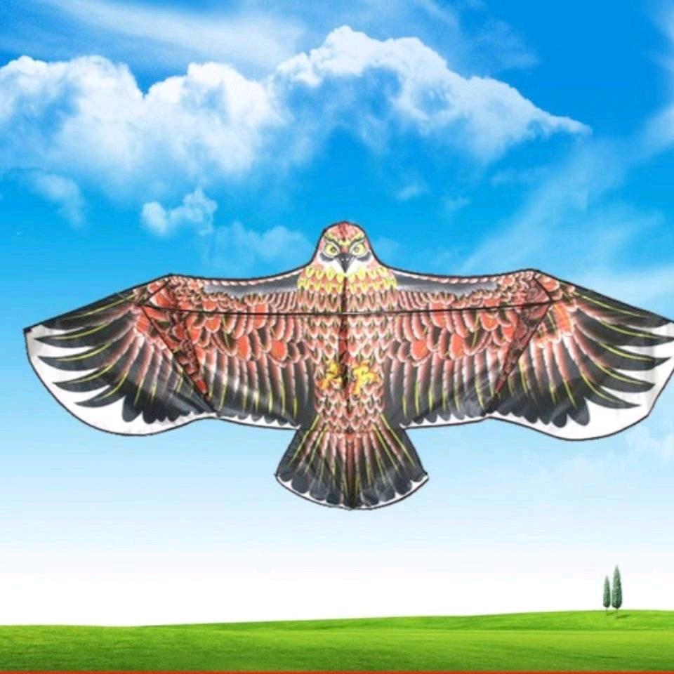 🦋风筝♨️