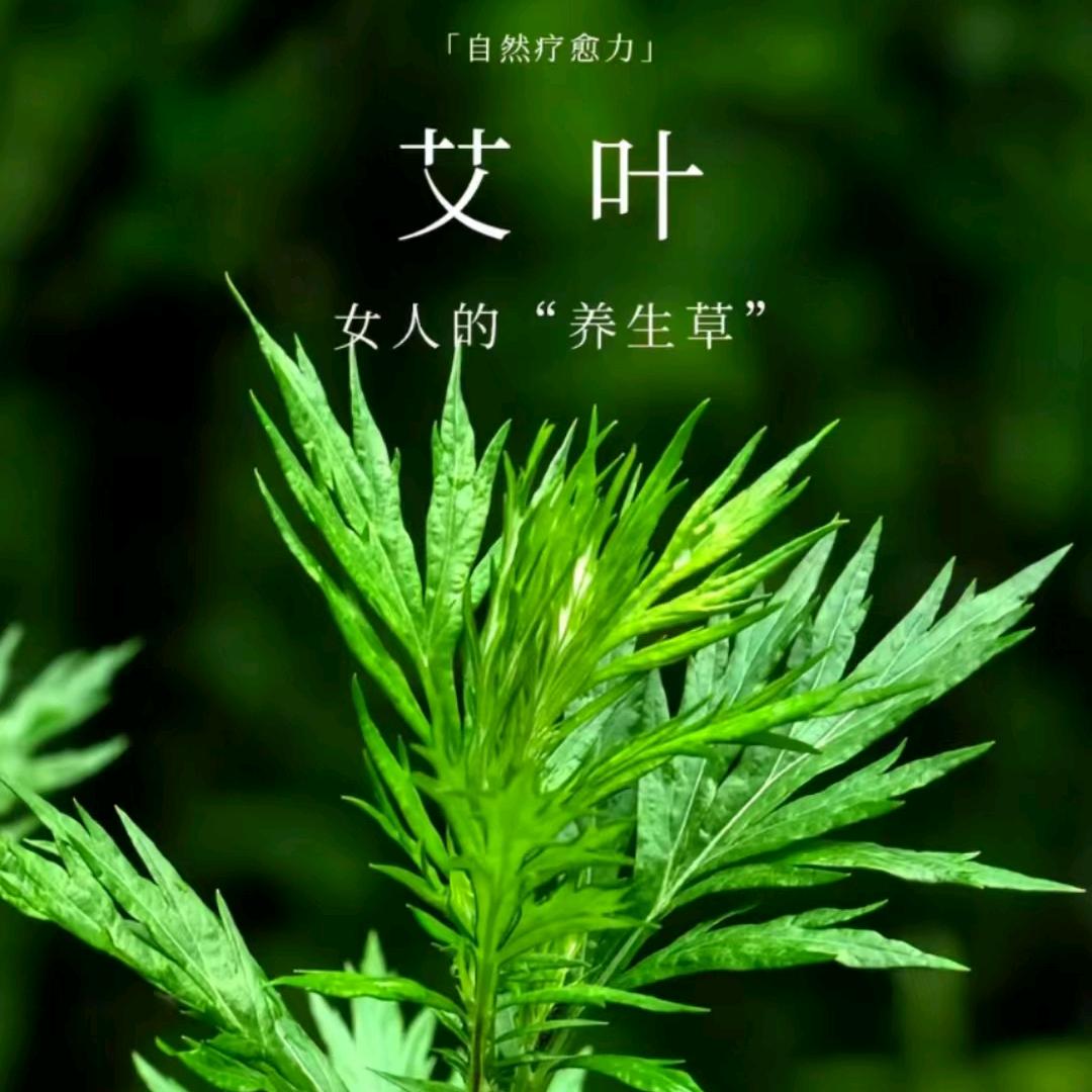 小艾姐