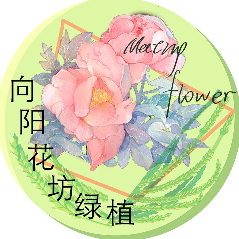 哇嗷潮玩的头像