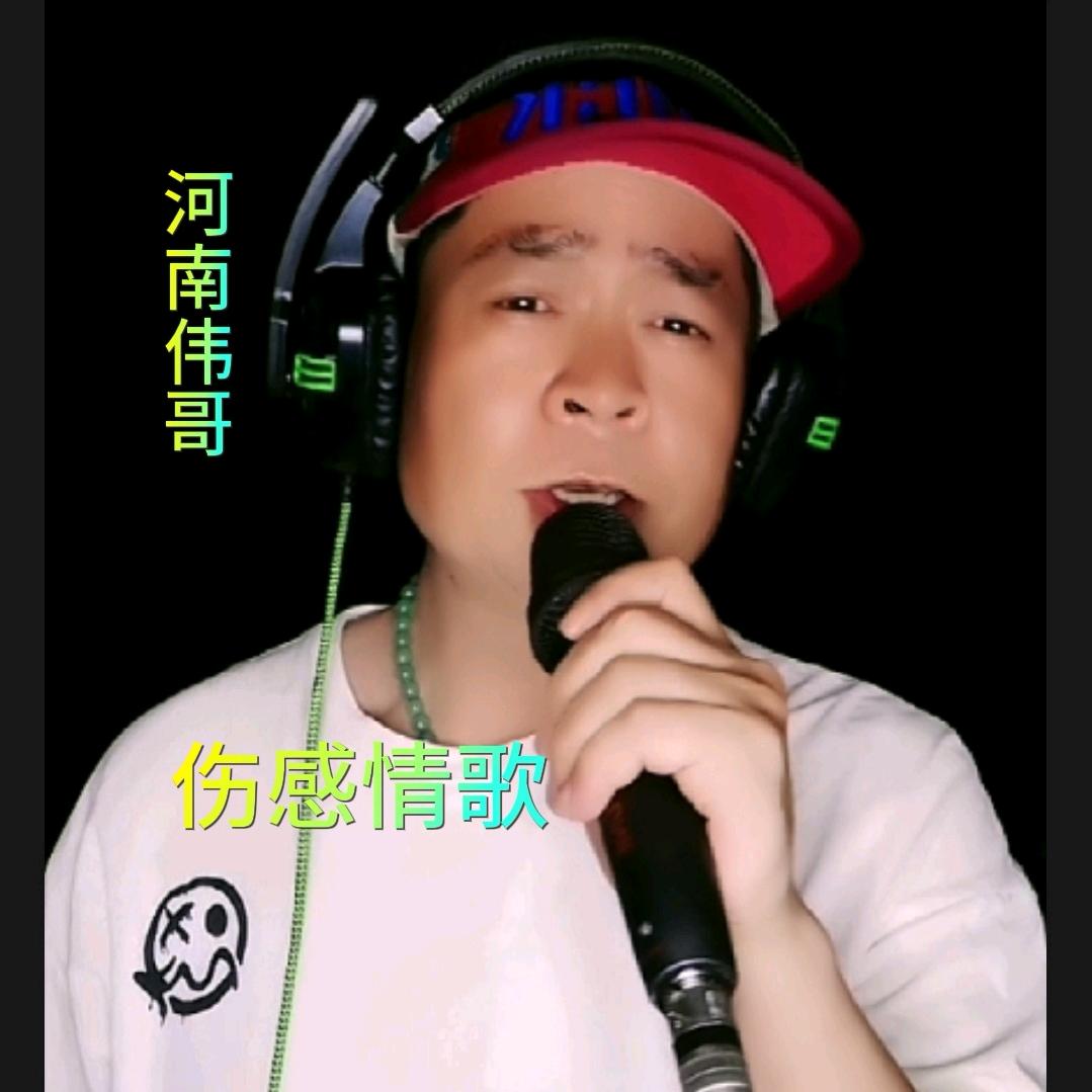 河南伟哥
