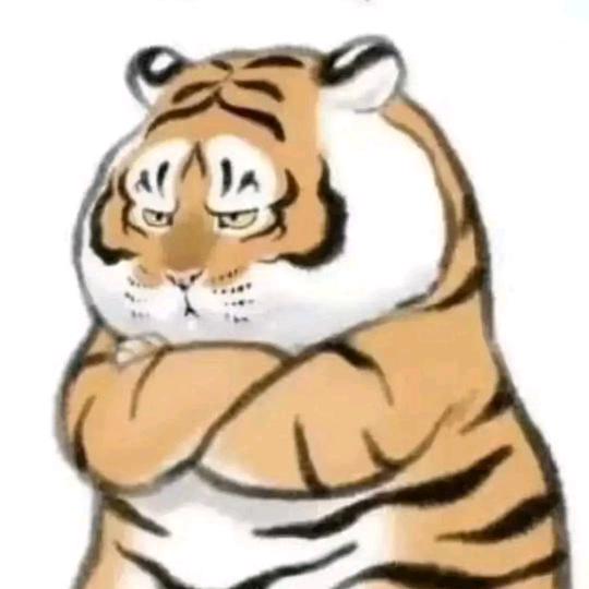 强哥囧途
