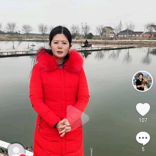 雅芸璇风鲫鱼窝料饵料