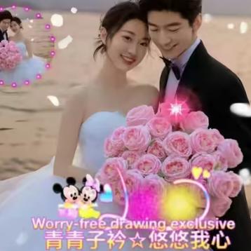 宋兰菲