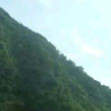 老农民