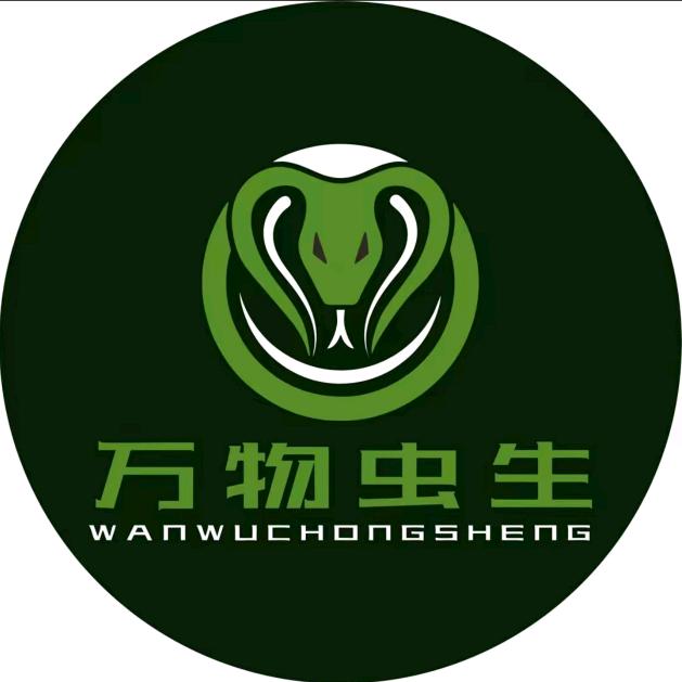 万物虫生喀什活体昆虫博物馆