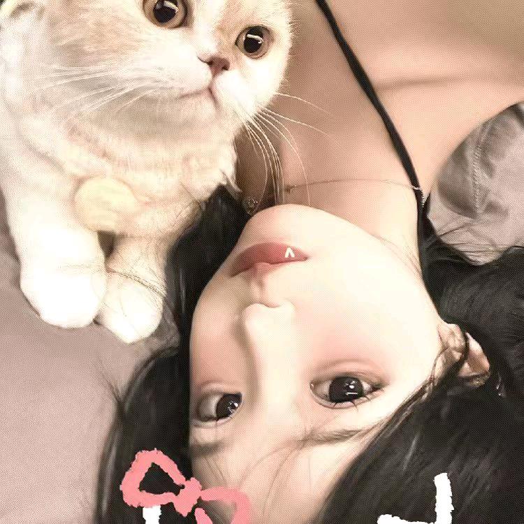 有梦想的懒猪