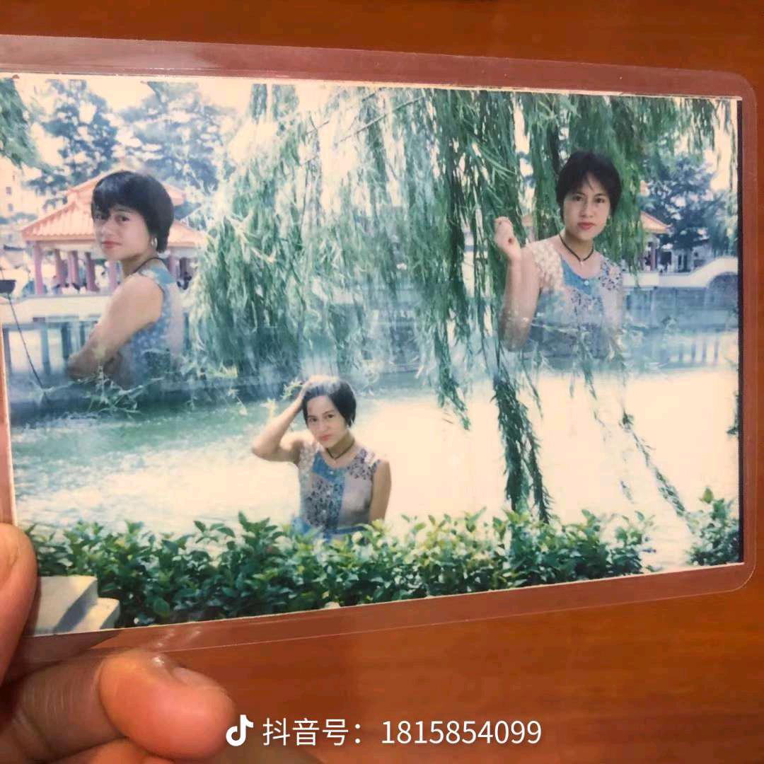 黄玫瑰。