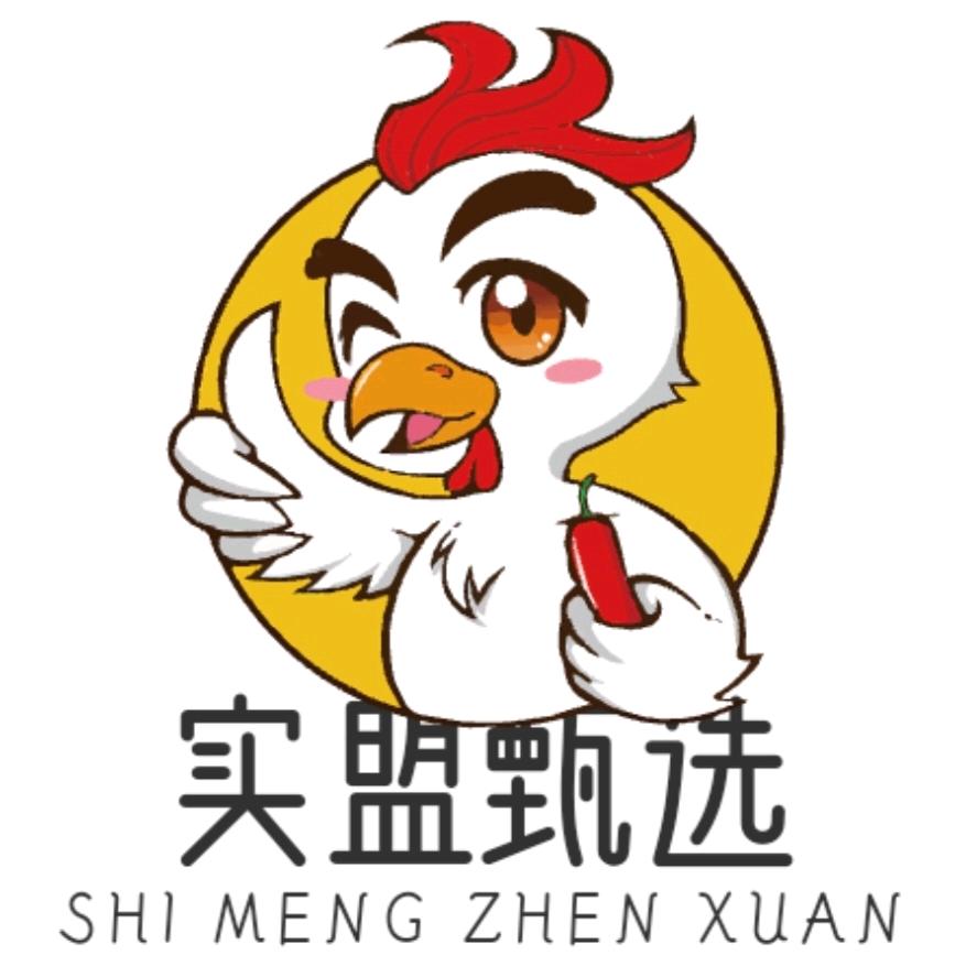 实盟甄选