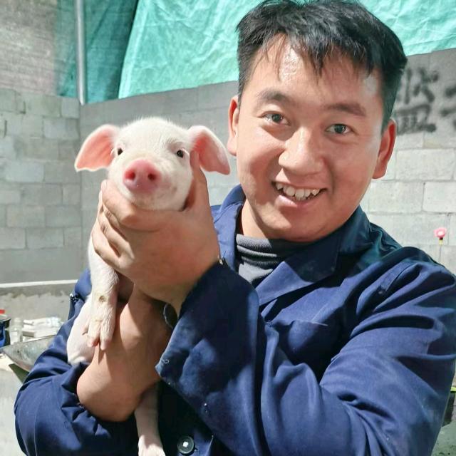猪肉佬（黄Sir）
