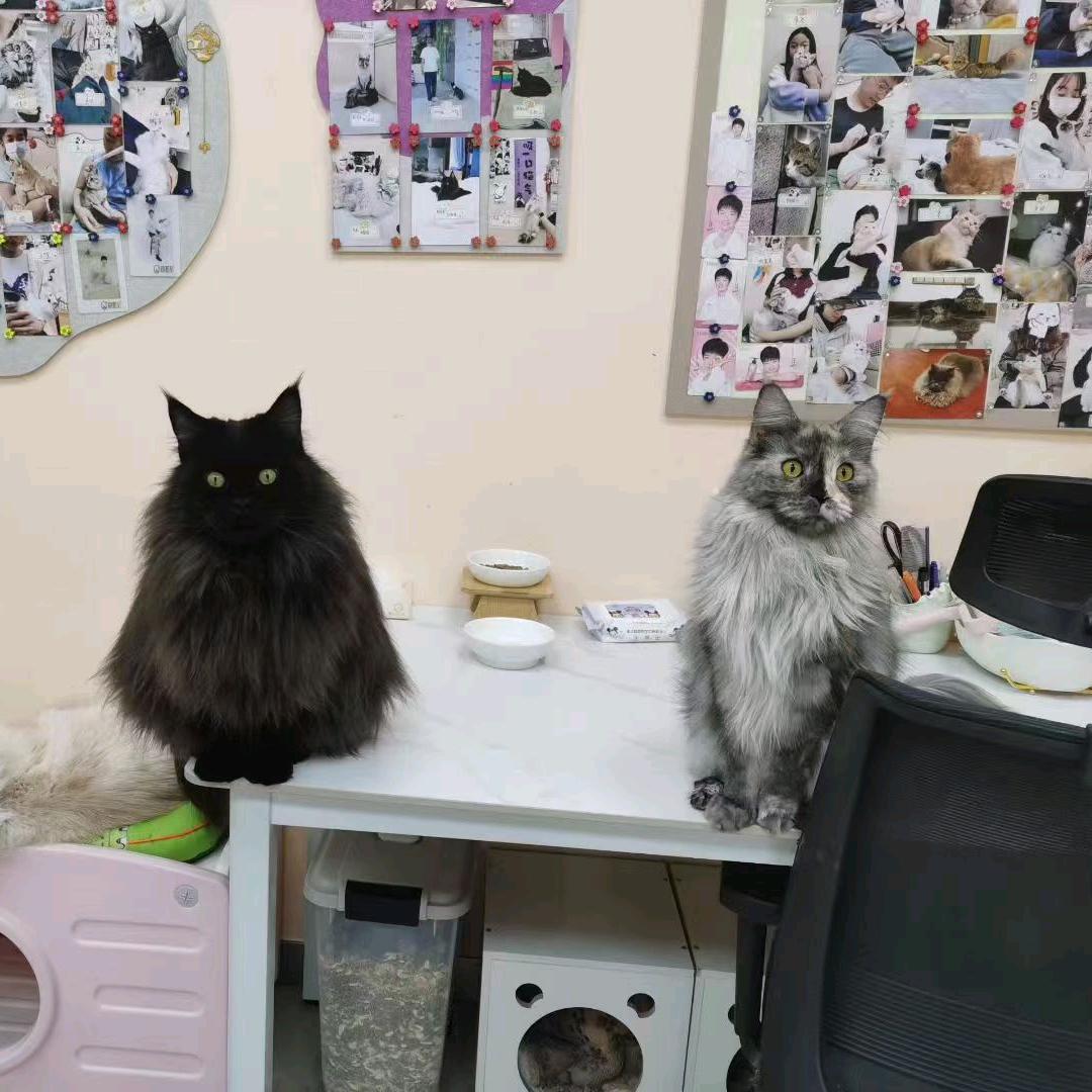 刘姥姥的絮絮叨叨