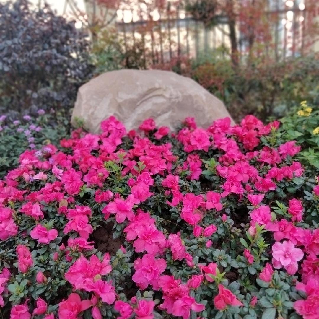 城市套路深，我要回农村